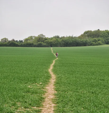 The Ridgeway — photograph 89