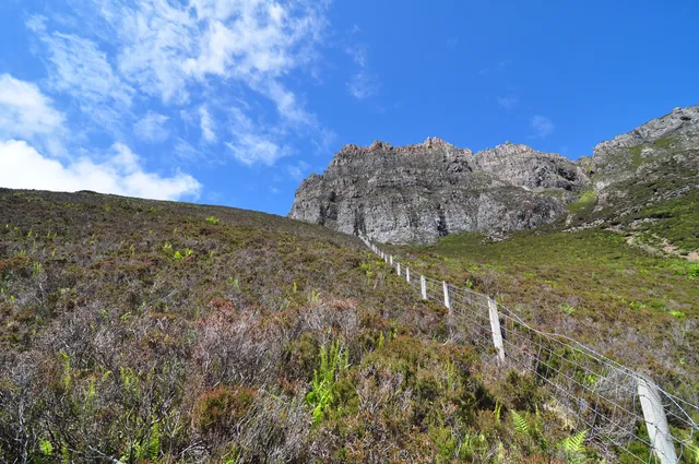 Much of Skye is farmed land. Quite different from our previous hiking experience in the Cairngorms