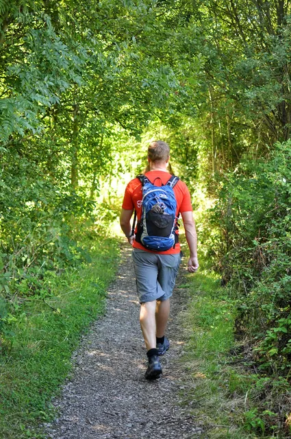 Well maintained paths in the main