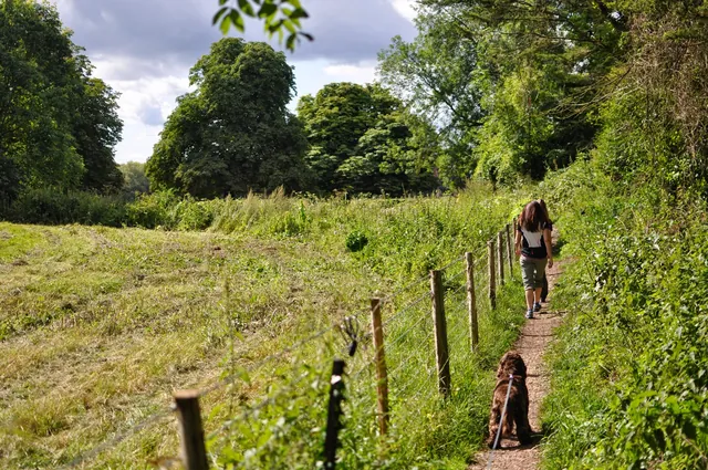Itchen Way — photograph 16