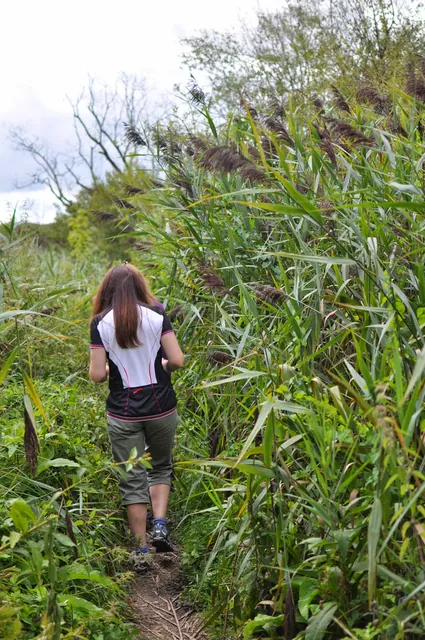 Some of the track was little overgrown in the mid-section