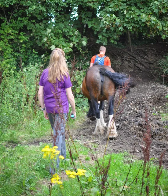 We took an interesting side-track which led to a scrable under a barb-wire fence to get out onto the road (+ horse companions)