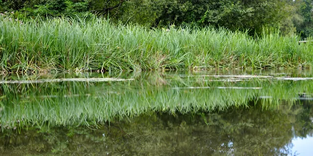 Itchen Way — photograph 36