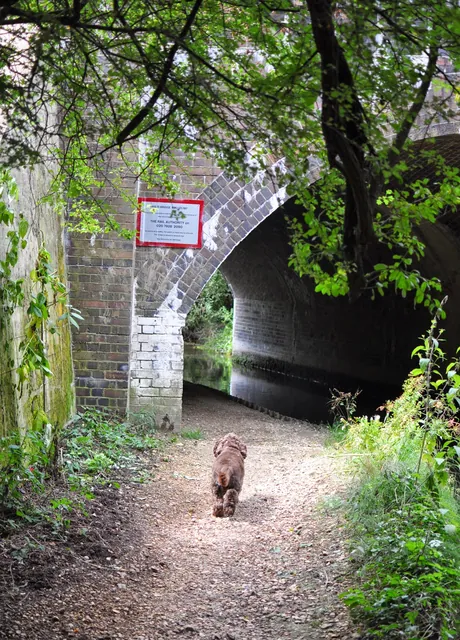 Itchen Way — photograph 41