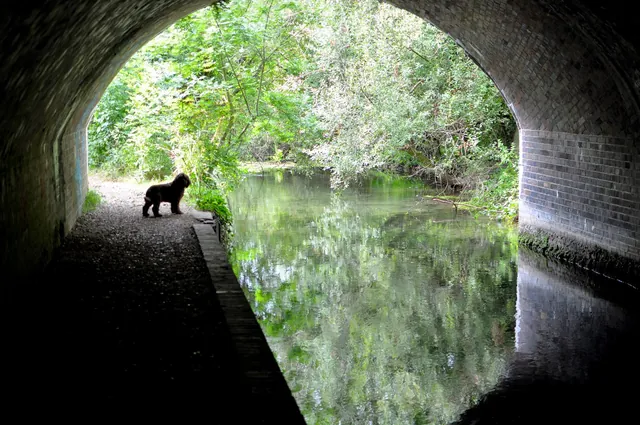 Itchen Way — photograph 42