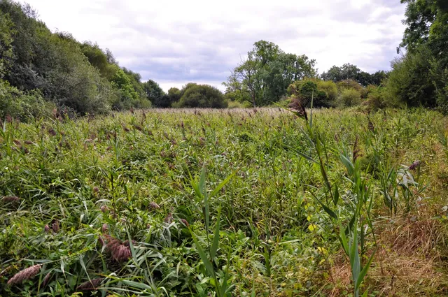Itchen Way — photograph 49