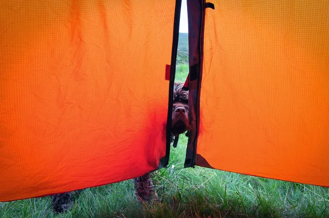 Peekaboo!