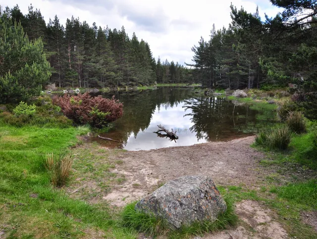 Lochan Deo