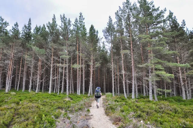 Glen Feshie Loch Eanaich Circuit — photograph 16