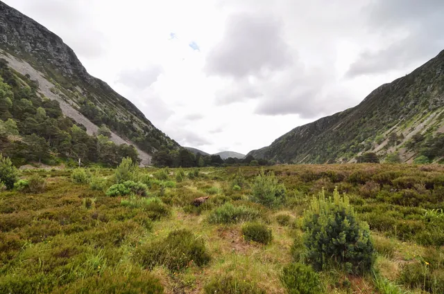 Glen Feshie Loch Eanaich Circuit — photograph 26