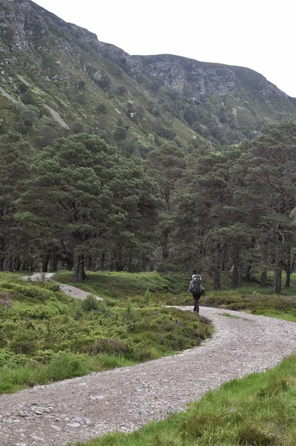 Rejoining the trail
