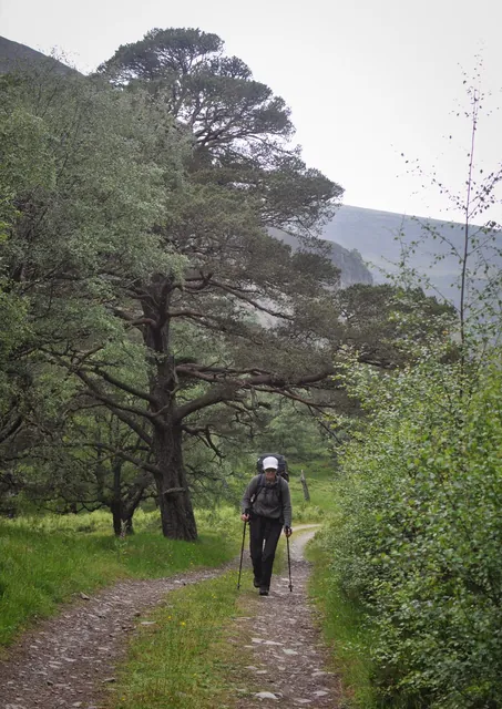 Glen Feshie Loch Eanaich Circuit — photograph 31