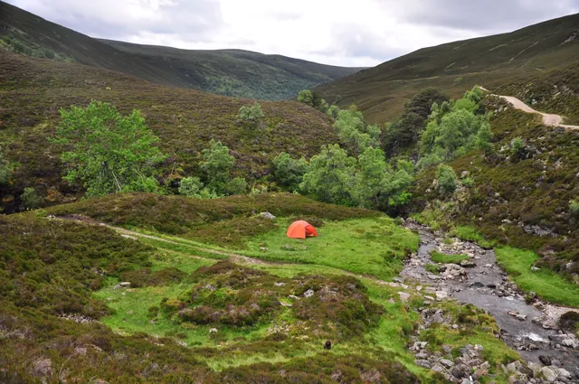 Camp 2 at 460m. Glen Feshie certainly delivering the goodness so far for wild camping