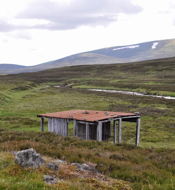 Glen Feshie Loch Eanaich Circuit — photograph 56