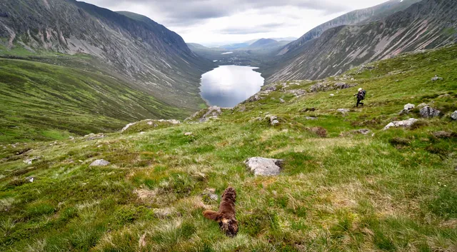 Glen Feshie Loch Eanaich Circuit — photograph 95