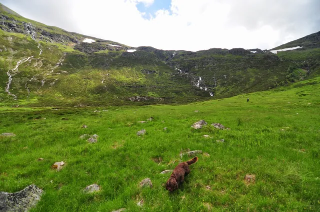 After a zig zag march down the side of the mountain, we get to the bottom relieved
