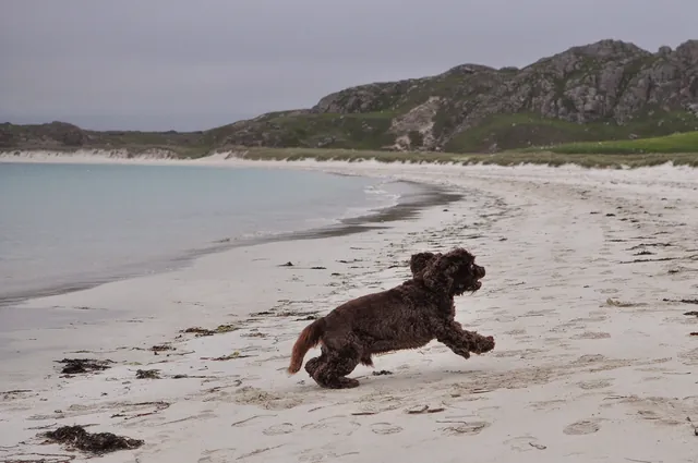 He was scared of the waves at first