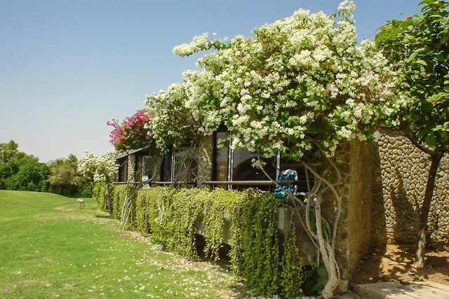 Quaint garden surroundings on the back of the villas