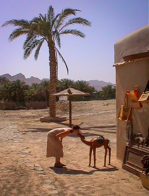 Hatta Fort Hotel — photograph 12