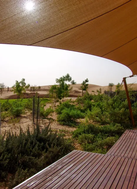 Al Maha Desert Resort — photograph 8