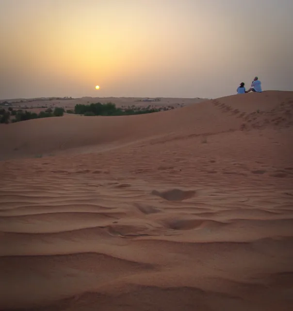 Al Maha Desert Resort — photograph 21