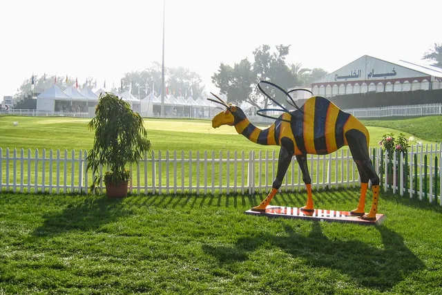 Dubai — photograph 49