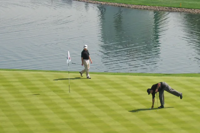 Tiger on the green
