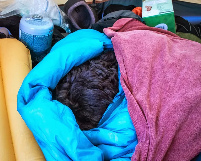We were all cold in the night, including Barney. So we wrapped him up in my sleeping bag during breakfast to warm up. Bless!