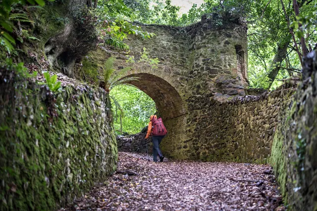 One of the Yearnor Wood tunnels