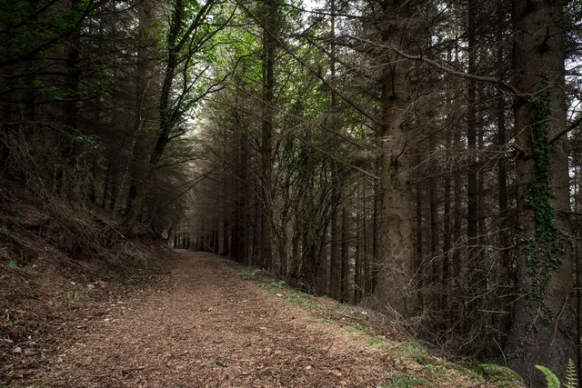 Spooky approach to the Somerset-Devon county line