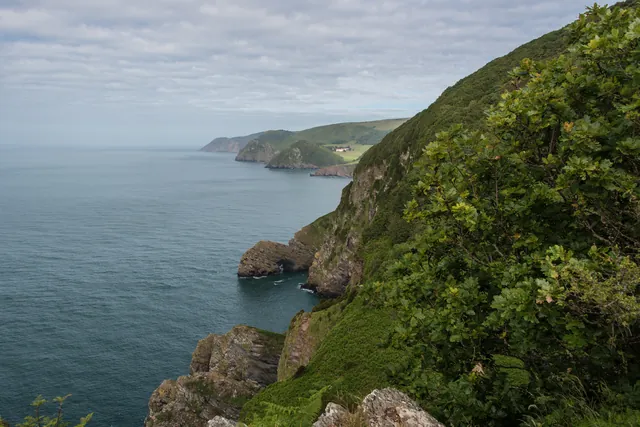 Looking back up the coast to Lee Abbey
