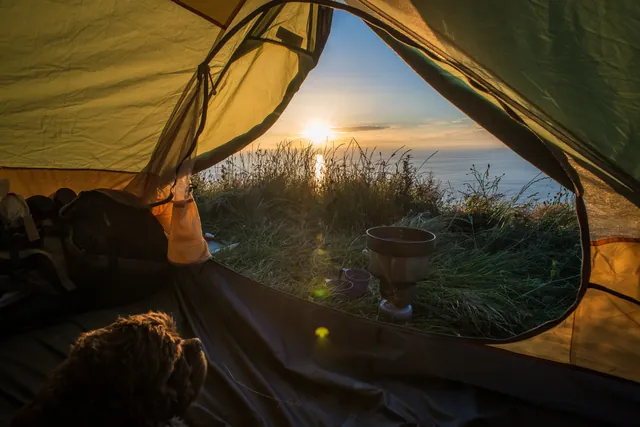 Stunning camp spot views at Dizzard Point