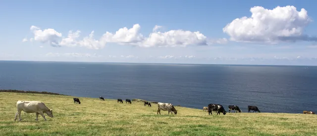 Sometimes the combination of foreground and background prompts another coastal pic!