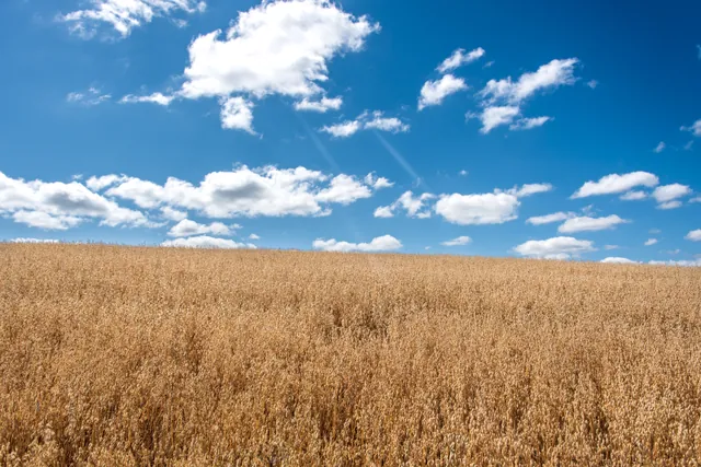 Worthy of a Windows XP desktop background, no?