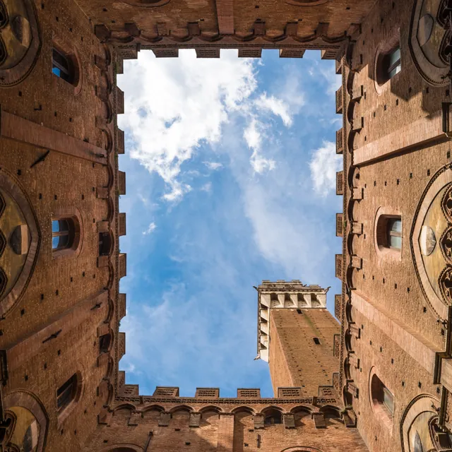 Looking up to Torre del Mangia