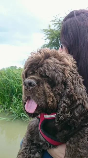 Barney not fully sure about his holiday on the boat. A bit restrictive for him where he wasn't allowed off at some points