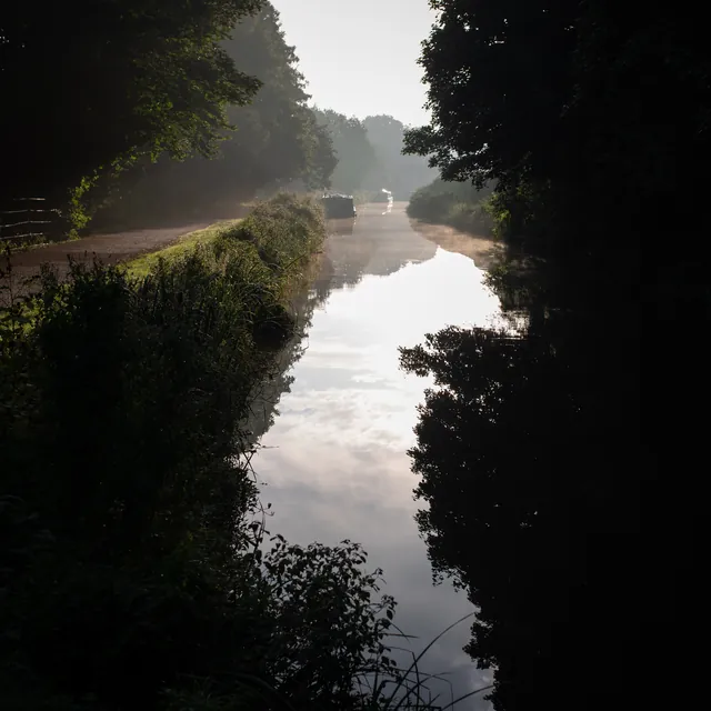 Nice early morning photo of the tree silhoettes reflecting on the water's surface