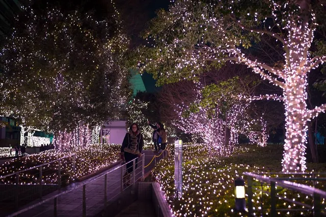 Pretty tree lights near Shinjuku station