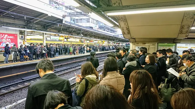 When we reached the busy Shinjuku station platform at 8.30am and saw each arriving train carriage packed like sardines, I thought it was game over for making our plane. But many commuters got off, and then we were herded in like cattle (similar those YouTube vids you see of it)