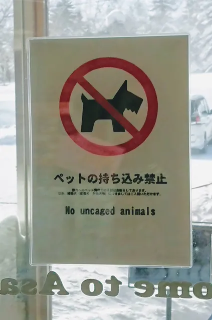 That's Barney and Betty ruled out from visiting the Asahidake Ropeway base station then!