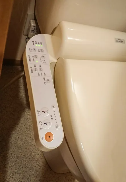Toilet remote control. Can't read a thing on here, and too scared to push a button in case it delivers 110 volts to my gooch area. Besides that, this is an arm rest that even Captain James T Kirk would be proud of
