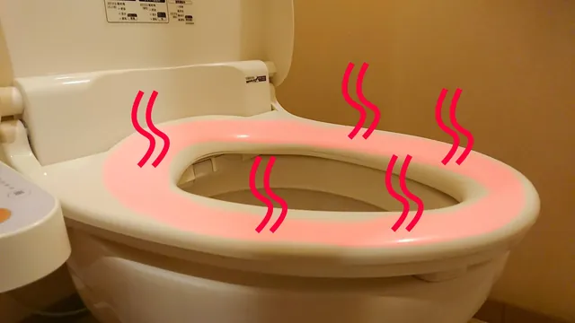 Heated toilet seats. I mean, why not? Us British are getting used to heated car seats as an essential option for our cars. The heated toilet seat is surely next?
