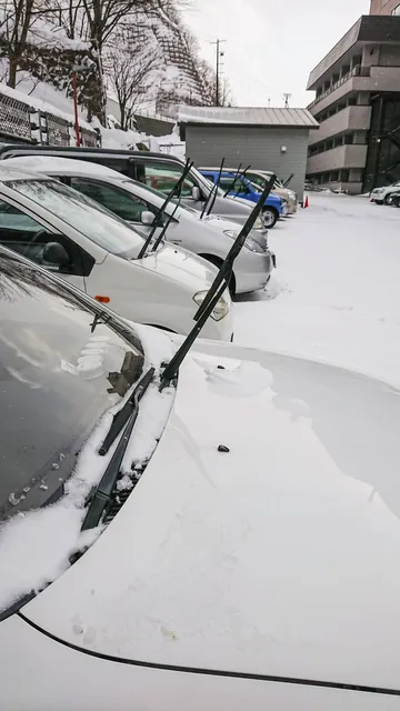 Lift your windscreen wipers at night, else you'll come back to them in the morning and find that they are fused solid to your windscreen. Cold here, init