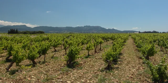 Southern France Roadtrip — photograph 13