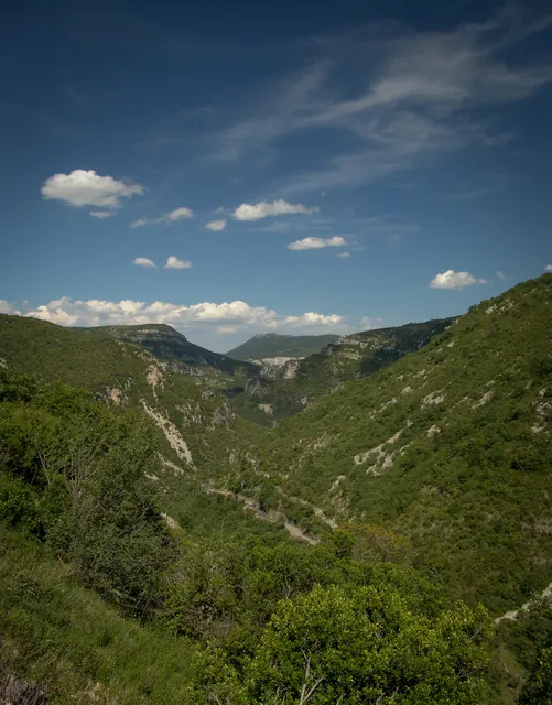 Undulating terrain north of Montpellier