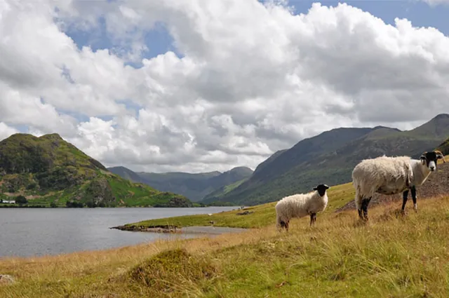 Crummock Water — photograph 20