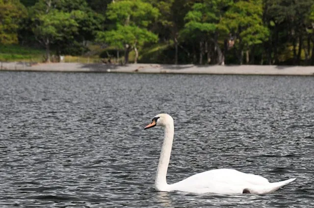 Crummock Water — photograph 21