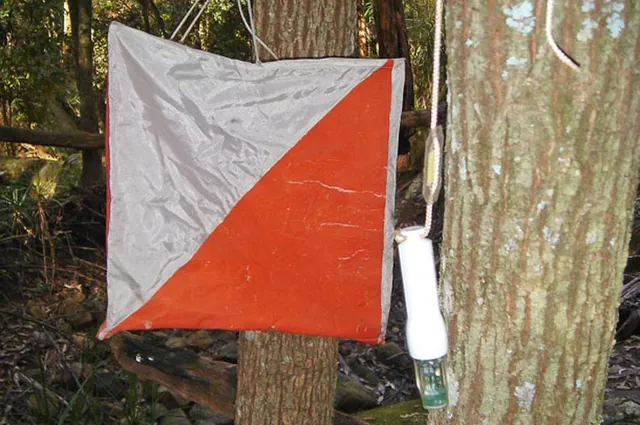 Each checkpoint sighting is a joyous occasion of accruing more points and knowing exactly where you are on the map