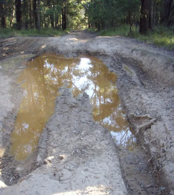 The course was mostly bone-dry with occasional muddy tracks - kept the leeches at bay! [Mericia Sousa Â©]