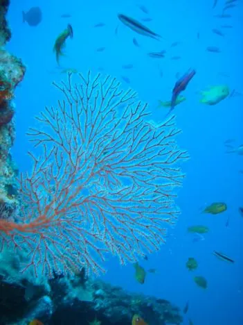 This is exactly the type of view I was hoping for in GBR